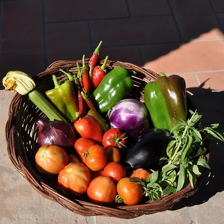 Vakantieboerderij Agriturismo Parzalla *