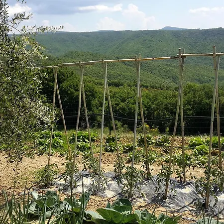 Agriturismo Parzalla